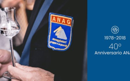 I quarant'anni di Anag