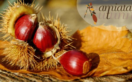 AmiatAutunno: percorso di gusto sul monte Amiata