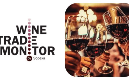 Wine Trade Monitor 2018: vini francesi al top, avanzano i vini bio