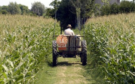 Clima impazzito: cala il PIL dell'agricoltura