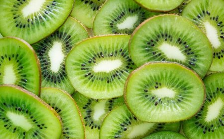 In 50 milioni di anni è raddoppiata la quantità di Vitamina C presente nei kiwi