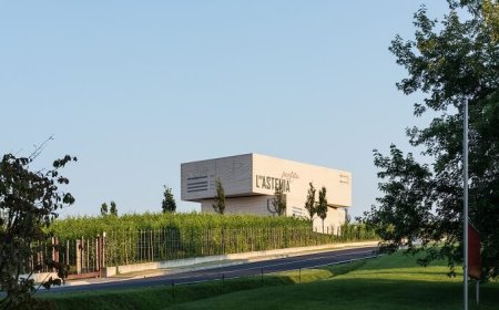 L"Astemia Pentita: inaugurata la cantina dall'estetica visionaria di Sandra Vezza