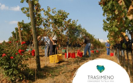 Corciano castello di vino: tre giorni per conoscere i vini del Trasimeno