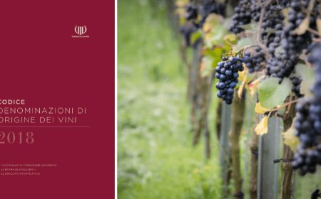 Unione Italiana Vini pubblica il nuovo Codice Denominazioni di Origine dei Vini