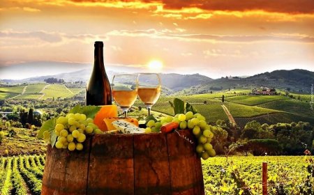 Un turista su quattro sceglie l'Italia per la gastronomia