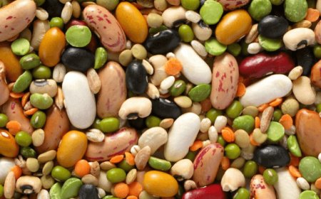 Legumi secchi: produzione in ripresa in Italia, ma ancora dipendenza da importazioni