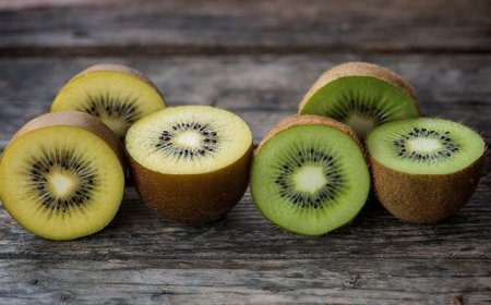 Kiwi: in ripresa la produzione in Italia, ma preoccupano importazioni da Grecia