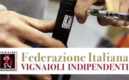 Un Mercoledì da Vigniaioli: l'Italia incontra i produttori FIVI
