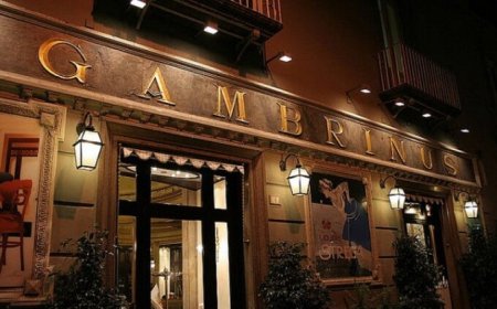 Il Gambrinus di Napoli multato: ha negato l'accesso al cane di una non vedente