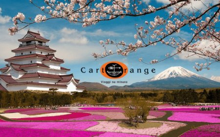 CartOrange: l'incontro fra online e offline premia l'azienda dei consulenti di viaggio