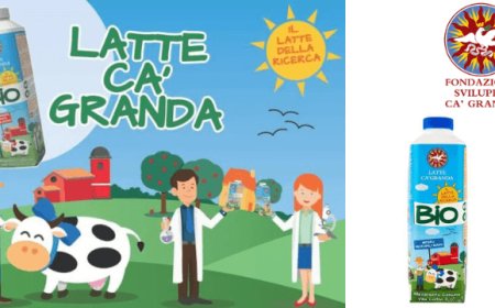 Il Policlinico di Milano produttore agricolo con il Latte Ca’Granda