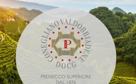 Il Consorzio Conegliano Valdobbiadene incontra i buyers esteri