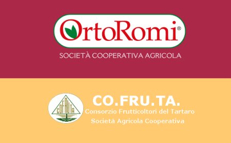 OrtoRomi sigla un accordo strategico con la cooperativa Co.Fru.Ta