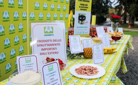Coldiretti segnala: il 20% del cibo straniero che arriva in Italia è fuorilegge