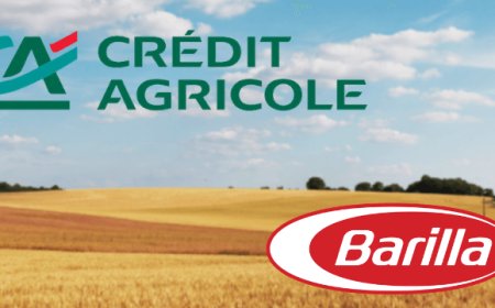 Grano italiano, accordo Barilla - Crédit Agricole per sostenere la filiera