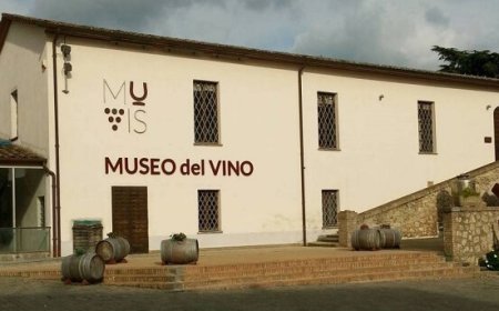Alla scoperta del Muvis, il museo del vino più grande d'Europa