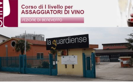 Nasce Onav Benevento con il primo corso dedicato agli assaggiatori di vino