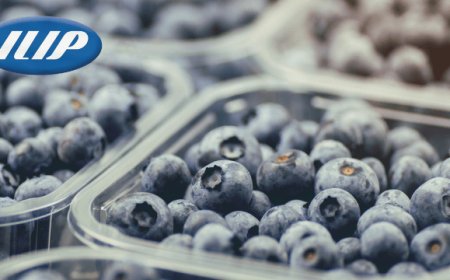 Nasce ILIP Embalajes, il nuovo magazzino di Alicante