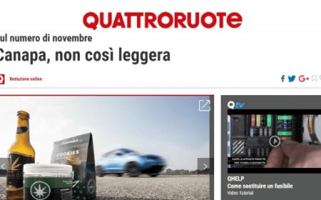 Cannabis light, i test di Quattroruote sui cibi a base di canapa