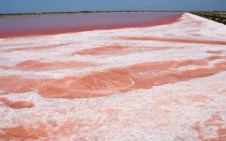 Il sale italiano verso la denominazione di prodotto di qualità tipico