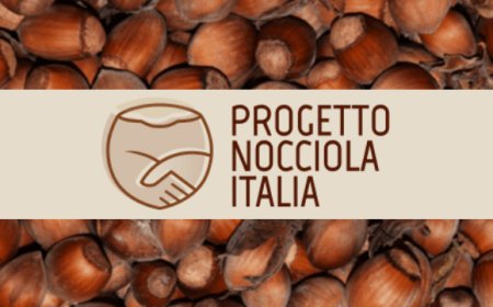 Anche Abruzzo e Molise nel Progetto nocciola Italia di Ferrero