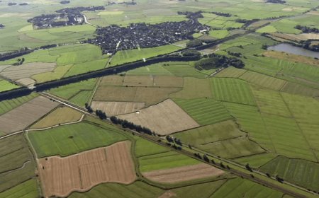 Terreni gratis per venti anni a chi fa il terzo figlio