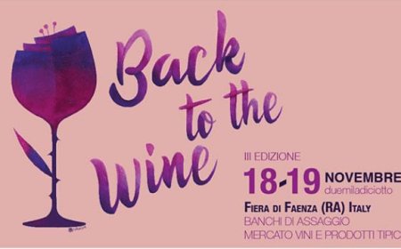 Back to the Wine. Gli artigiani del vino si danno appuntamento a Faenza