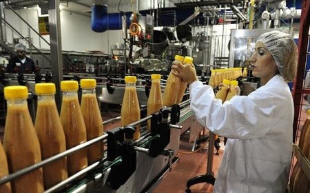 Allarme Coldiretti, cala la produzione alimentare