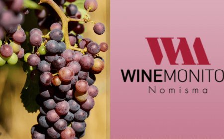 Nuovo studio Winemonitor - Nomisma su vino e cooperazione