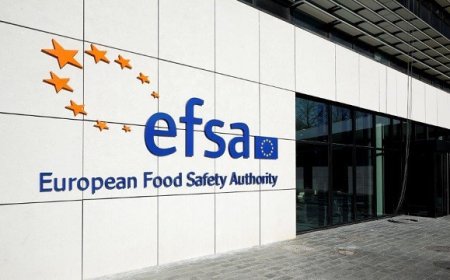 Diossine negli alimenti. Efsa lancia l'allarme