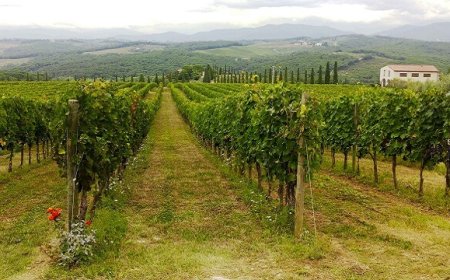 Nasce l'associazione San Casciano Classico