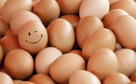 Conad: entro luglio 2019 niente più uova da galline allevate in gabbia