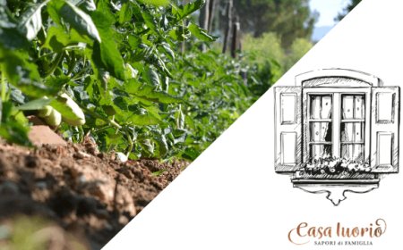 Casa Iuorio: sapori di famiglia tra tradizione e qualità