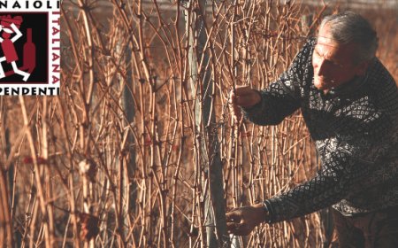 Fivi soddisfatta per la reintroduzione del rame in agricoltura