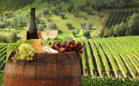 L'enogastronomia traina il turismo italiano