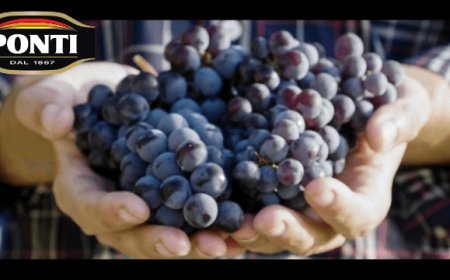 Ponti: la campagna "Il potere di una goccia" è on air