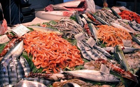 Prodotti ittici contraffatti e altamente pericolosi, blitz in Puglia