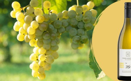 Thomas Niedermayr presenta il suo Pinot Bianco della vendemmia 2014