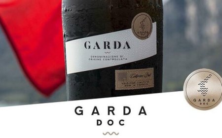 Vini Garda Doc: 11 milioni di bottiglie raggiunte