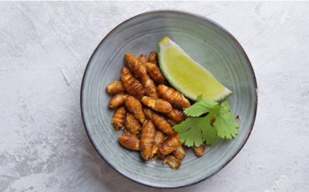 Rivoluzione nel piatto degli italiani: 4 su 10 sarebbero disposti a mangiare insetti