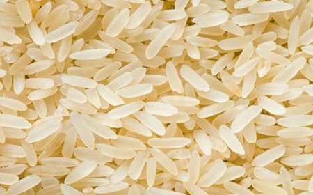 Riso: tornano i dazi per le produzioni in Cambogia e Myanmar