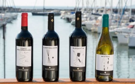 Un nuovo inizio per Cantina Rigoloccio