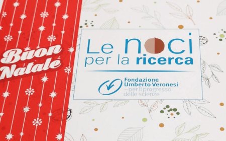 Le "Noci per la ricerca" LIFE nella scatola natalizia