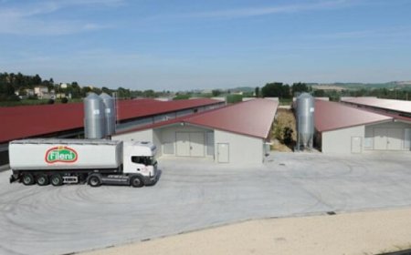 Fileni festeggia il nuovo magazzino con fatturato in crescita