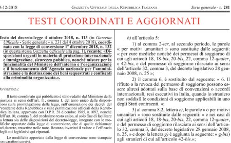 Il Decreto Sicurezza diventa legge. I cambiamenti per i pubblici esercizi