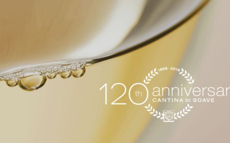 Cantina di Soave record: 70 milioni di euro distribuiti ai soci