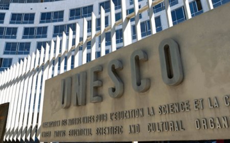 Un italiano per la prima volta nella commissione di esperti Unesco