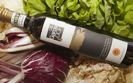 Olio Garda Dop protagonista dell'Almanacco presentato a Olio Officina Festival 2019