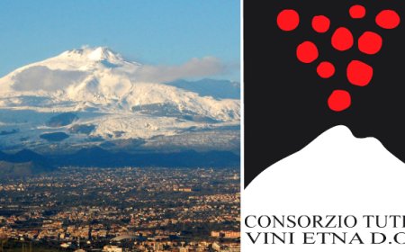 Vino Etnea Doc: triplicata la produzione in sei anni