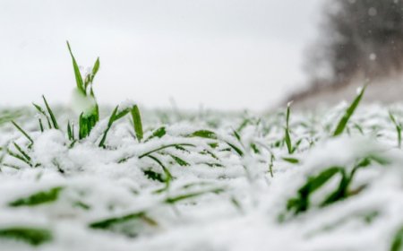 In aumento gli shock alimentari per eventi climatici estremi